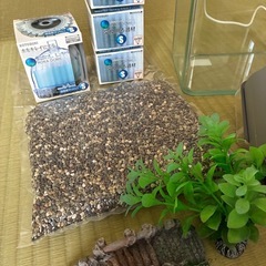 水槽 小型　フルセット 金魚 グッピー テトラの画像