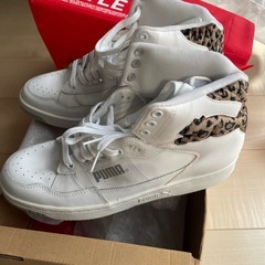 未使用品の画像