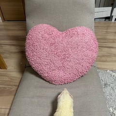 ハートのクッション　の画像
