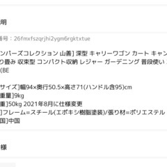 キャンプ用に🏕キャリーの画像