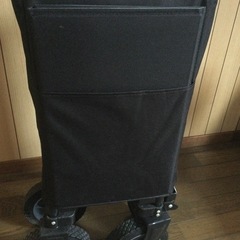 キャンプ用に🏕キャリーの画像