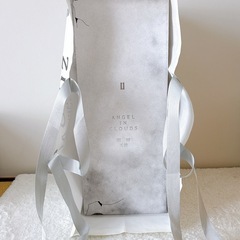 THE MONSTERS ANGEL IN CLOUDS ぬいぐるみ エンジェル ジモモ ラブブの画像