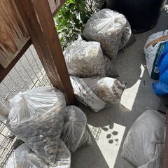 軽石　園芸用　無料！❗️の画像