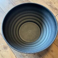 鉢付き★メダカ幼魚（10匹）★青いラメの品種の画像