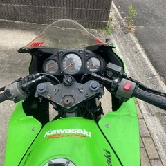 Ninja250Rの画像