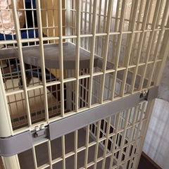 キャットケージ　3段の画像