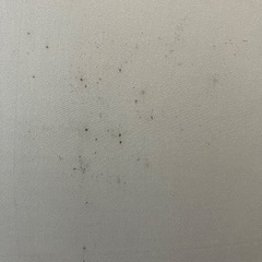 三つ折りマットレスの画像