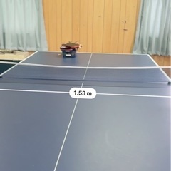 🏓【CASSAR 卓球台】折りたたみ式／引き取り限定の画像
