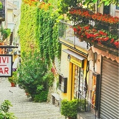 cloth shop 布や のれんの画像