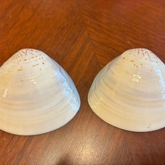 蛤銘々皿
の画像