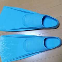 MSサイズ ペア】ドルフィン スイミングフィン（足ひれ）22-24cm ブルー 水泳 練習用 スノーケリングの画像