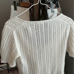 ボレロ？の画像