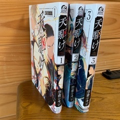「天駆け」1-3巻セット（完結）の画像