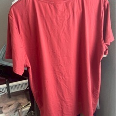 Ｔシャツの画像