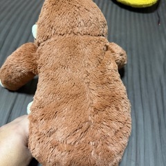 ぬいくぬいぐるみの画像