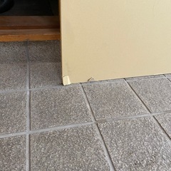 石膏ボード9㎜　1枚の画像