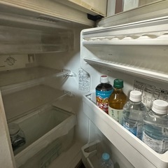 本日限定！冷蔵庫 の画像