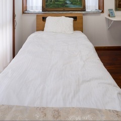 ライト、コンセント付きシングルベットマットレス付の画像