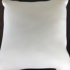 ニトリ 低反発フロアクッション (座布団)  カバーセットの画像