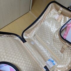 子供が乗れるスーツケースの画像