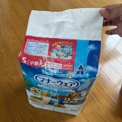 犬のオムツの画像