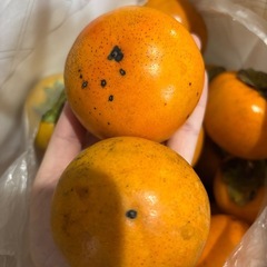 おいしい甘柿20個の画像