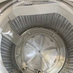 配送可【ヤマダ】5.5K洗濯機★2024年製　分解クリーニング済み/6ヶ月保証付き【管理番号1109】野の画像