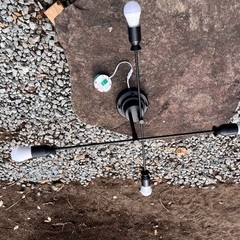 シーリングライト 4灯 カイリー Belled 照明 照明器具の画像