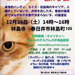 訳あり猫の譲渡会(K-12/20)
