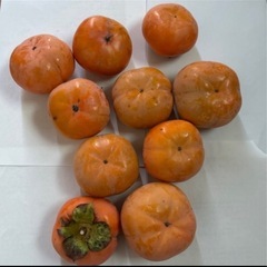 ◆◆柿 約2キロ 10個 無農薬の画像