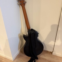 エレクトリック・アコースティック・ギターの画像