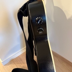 エレクトリック・アコースティック・ギターの画像