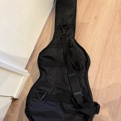 エレクトリック・アコースティック・ギターの画像