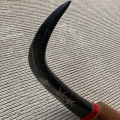 BUFFALO 置き物
の画像