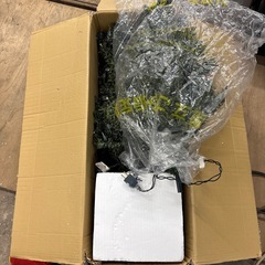 クリスマスツリーの画像