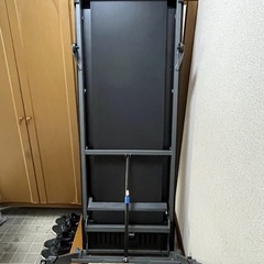 【状態良好】ルームランナー　
ホライズン　T202　　　　の画像