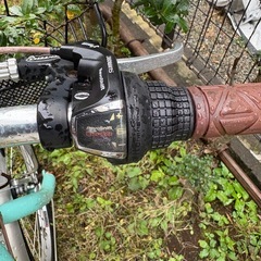 子供自転車　20インチ　ルイガノの画像