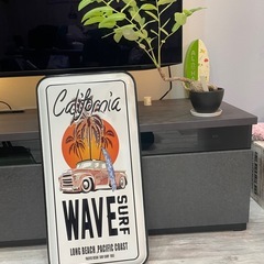 フィランサス・ミラビリス　塊根植物の画像