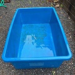 決まりましたブルコン の画像