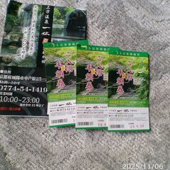 京都、城陽,上方温泉一休。入浴半額券3枚の画像