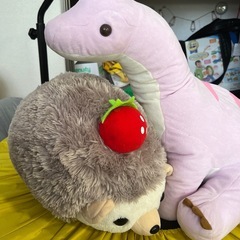 まとめてor単品でぬいぐるみの画像