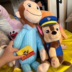 まとめてor単品でぬいぐるみの画像