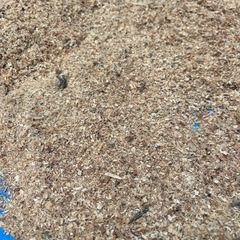 おがくず
の画像