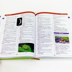 おうち英語に最適、絵辞書、大人にもの画像