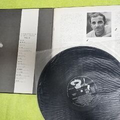 🧿 LPレコードの画像