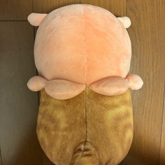 モフサンド　めんだこにゃん　手渡し　の画像