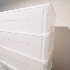 ニトリ　押入れ用　押入れケース　FDセレス　衣装ケースの画像