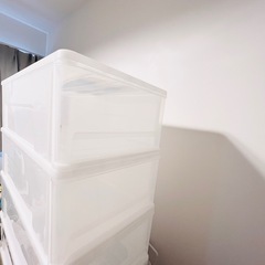 ニトリ　押入れ用　押入れケース　FDセレス　衣装ケースの画像