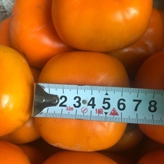 「お取り引き決定」渋抜き平柿　種無しの画像