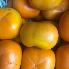 「お取り引き決定」渋抜き平柿　種無しの画像